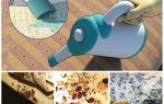 A quelle température meurent les insectes
