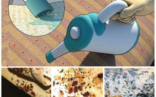 A quelle température meurent les insectes