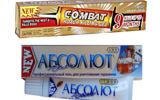 Meilleurs gels pour punaises de lit: Global, Absolute, Fipronil, etc.