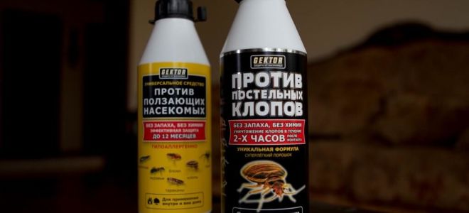 GEKTOR contre les punaises de lit et les insectes rampants