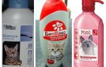 Shampooings aux puces pour chatons et chats