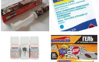 Signifie Fipronil des cafards