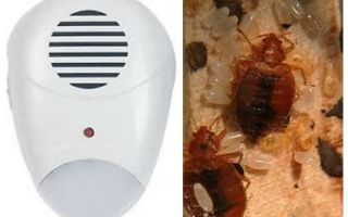 Repeller Pest Repeller des punaises