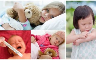 La température des piqûres de moustiques chez les adultes et les enfants