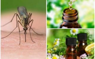 Huiles essentielles de moustiques