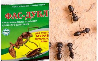 Signifie Fas-Double contre les fourmis