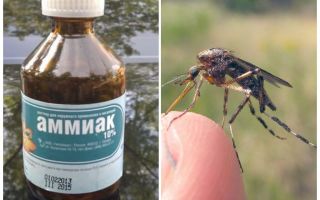 Ammoniac liquide de moustiques