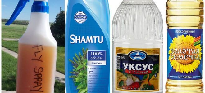 Shampoing anti-moustique à faire soi-même + vinaigre