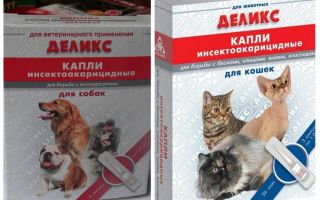 Délicieuses gouttes de puces pour chiens et chats