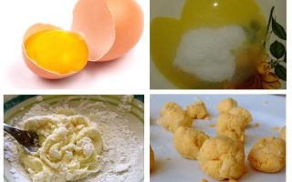 Recettes remèdes contre les blattes avec l'acide borique et l'œuf