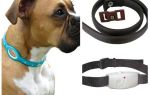 Meilleurs colliers de chien contre les puces et les tiques