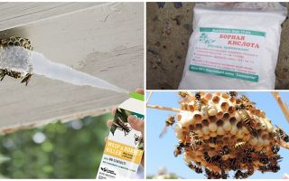 Comment empoisonner les guêpes