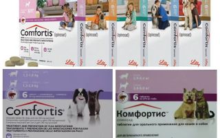 Comprimés aux puces pour chiens et chats