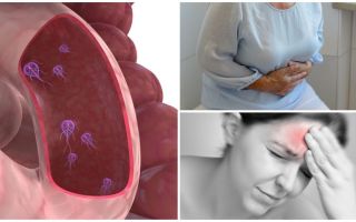 Comment déterminer la présence de Giardia dans le corps humain