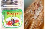 Comment enlever les poux et les lentes de vinaigre