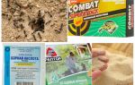 Attrait pour les fourmis