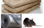 Quel type d'isolant ne mange pas de rats et de souris