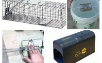 Piège à rat bricolage