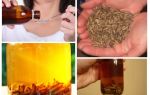 Teinture pour la teinture des abeilles: ce qu'elle traite et comment l'utiliser