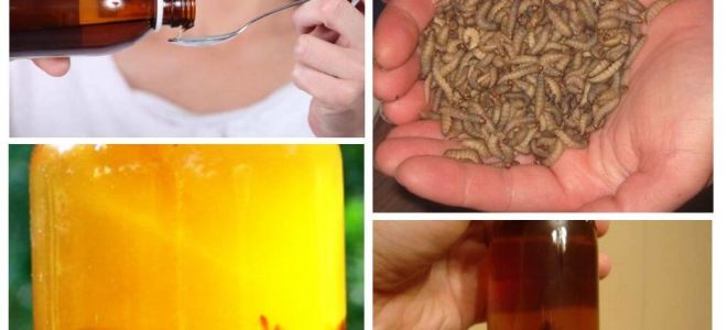 Teinture pour la teinture des abeilles: ce qu'elle traite et comment l'utiliser