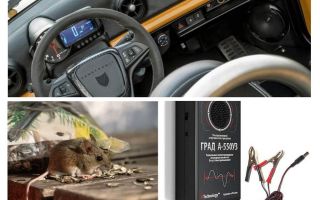 Rats et souris répulsifs