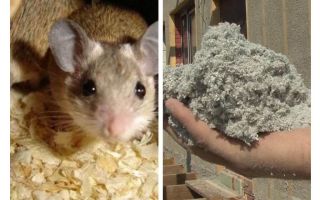 Quel type d'isolation ne mange pas de souris
