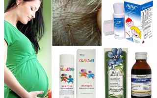 Comment traiter la pédiculose pendant la grossesse et l'allaitement