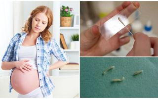 Comment traiter les oxyures chez les femmes enceintes