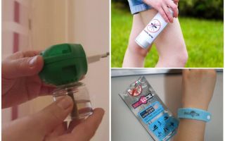 Les meilleurs répulsifs contre les moustiques et les mouches noires