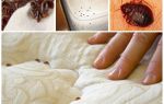 Punaises dans le matelas et les lits
