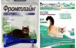 Gouttes aux puces Frontline pour les chats