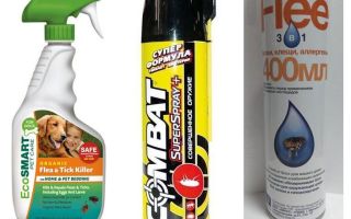 Spray anti-puces pour l'appartement