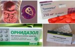 Les meilleurs médicaments pour le traitement de Giardia chez les adultes
