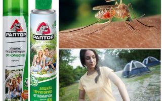 Protéger le territoire des moustiques Raptor