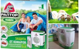 Raptor sur les batteries de moustiques