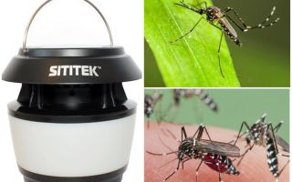 Exterminateur de moustiques SITITEK Sadovy-M