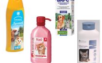 Examen des moyens les plus efficaces de puces pour les chats