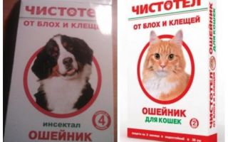 Collier de chili aux puces pour chiens et chats
