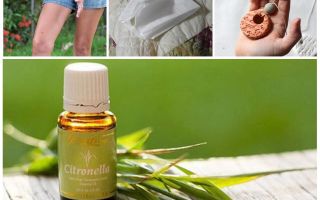 Huile essentielle de citronnelle contre les moustiques