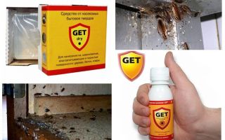 Signifie Geth des cafards