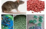 Poison de rat