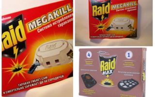 Cockroach Raid: pièges, aérosols, aérosols