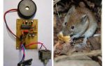 Rats et souris à répulsion ultrasonique avec leurs propres mains