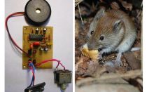 Rats et souris à répulsion ultrasonique avec leurs propres mains