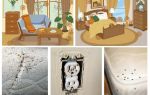 Lutte efficace contre les punaises de lit dans l'appartement