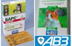 Drops the Leopard pour chats et chiens contre les puces et les tiques