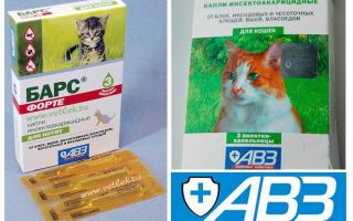 Drops the Leopard pour chats et chiens contre les puces et les tiques