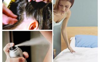 Mémo sur la pédiculose pour les parents
