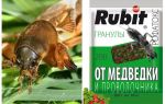 Coupe les granules de Rofatoks de l'ours et du ver fil-de-fer