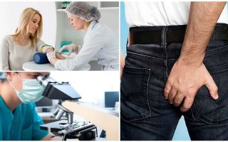 Analyse de sang pour ascarisose, anticorps anti-ascaris